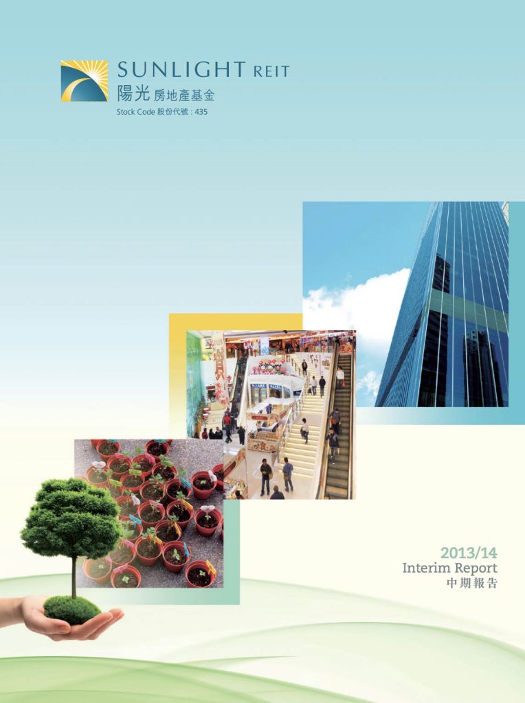 Interim Report
